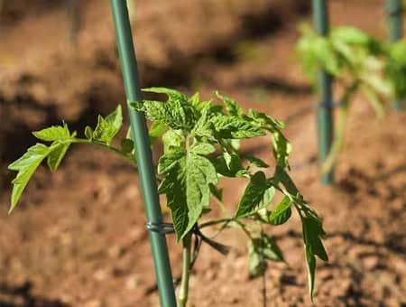 Innovations in Polyester, Epoxy Resins, and Polyurethane Drive Sustainable Industrial Solutions